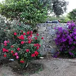 Mykonian Breeze Lejlighed Ano Mera