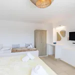 Apartment Mykonian Breeze