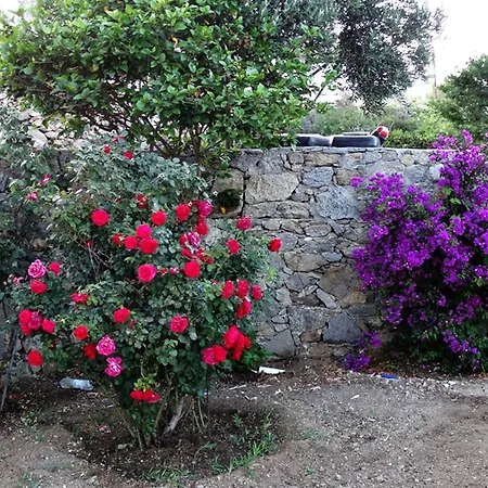Mykonian Breeze Lägenhet Ano Mera