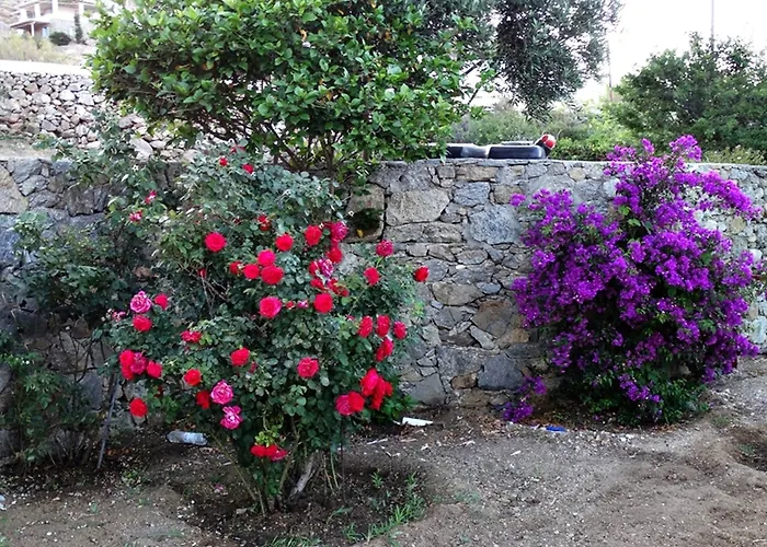 Mykonian Breeze Apartment Ano Mera